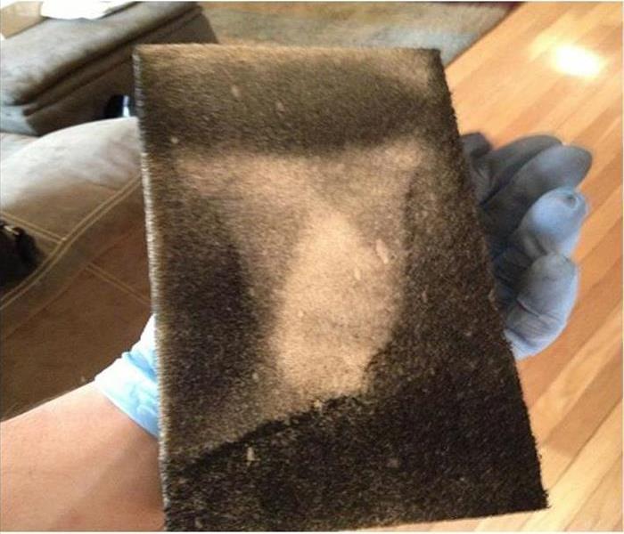 close up of a technician's hand holding a soot covered chemical sponge 