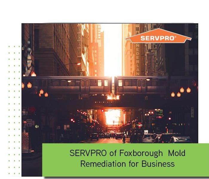 Business in background with green text box and orange SERVPRO logo