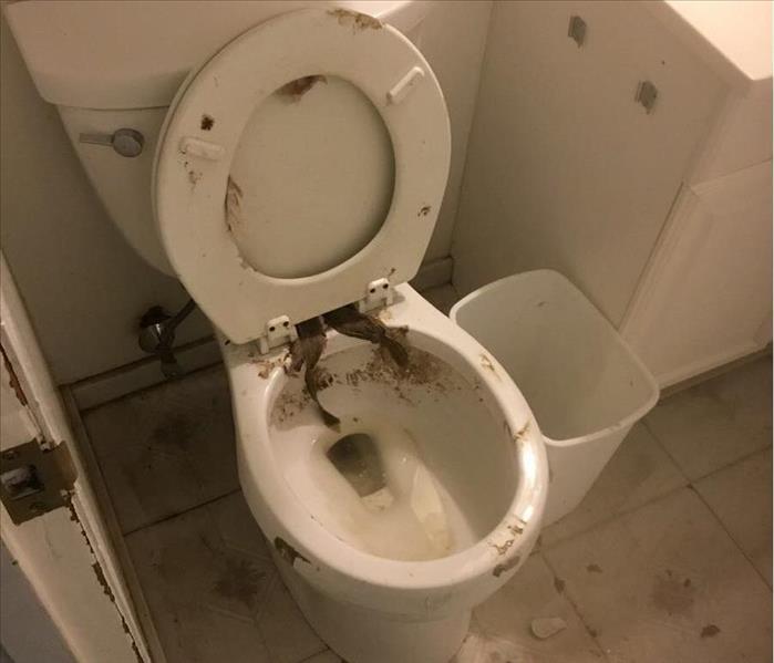 Bathroom toilet with sewage backup