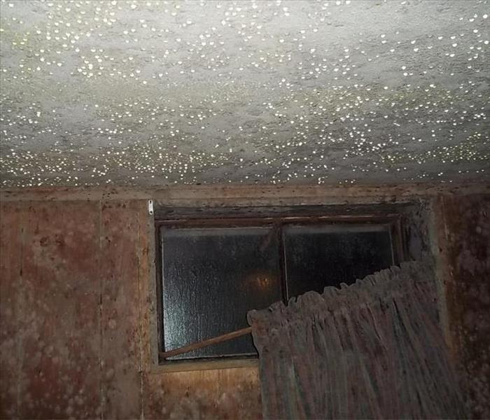 mold covered ceiling and wall